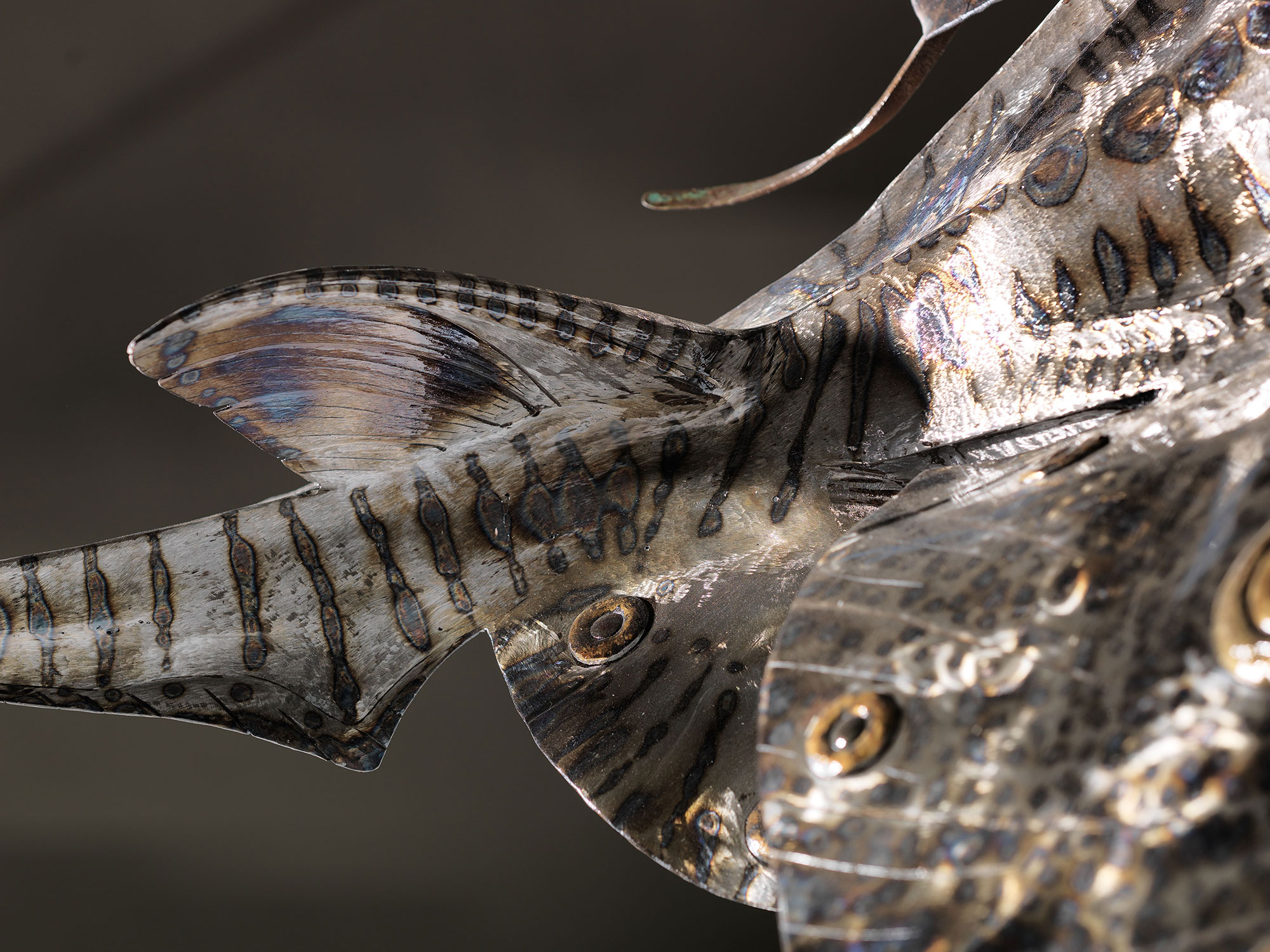 Isaia Zilli - Ray Fish Detail